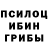 Галлюциногенные грибы мухоморы Victor Selivanov