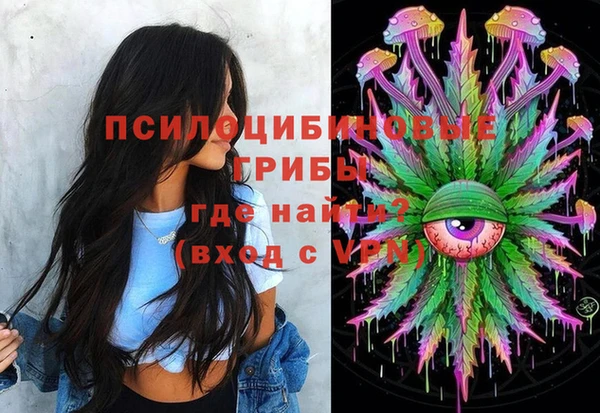 MDMA Новодвинск