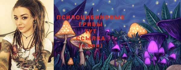 хмурый Елизово