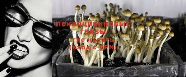 хмурый Елизово